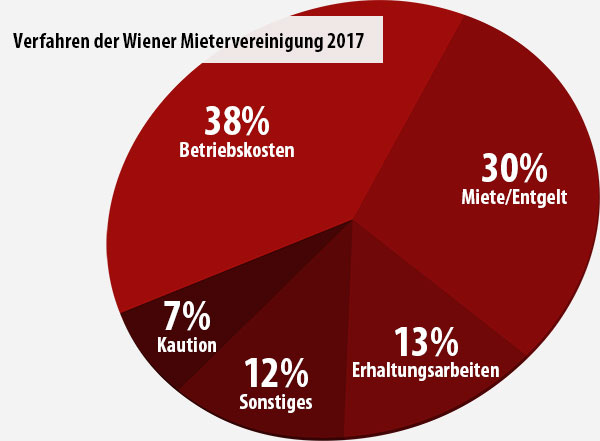 Gegenstände der Verfahren der Wiener Mietervereinigung im Jahr 2017